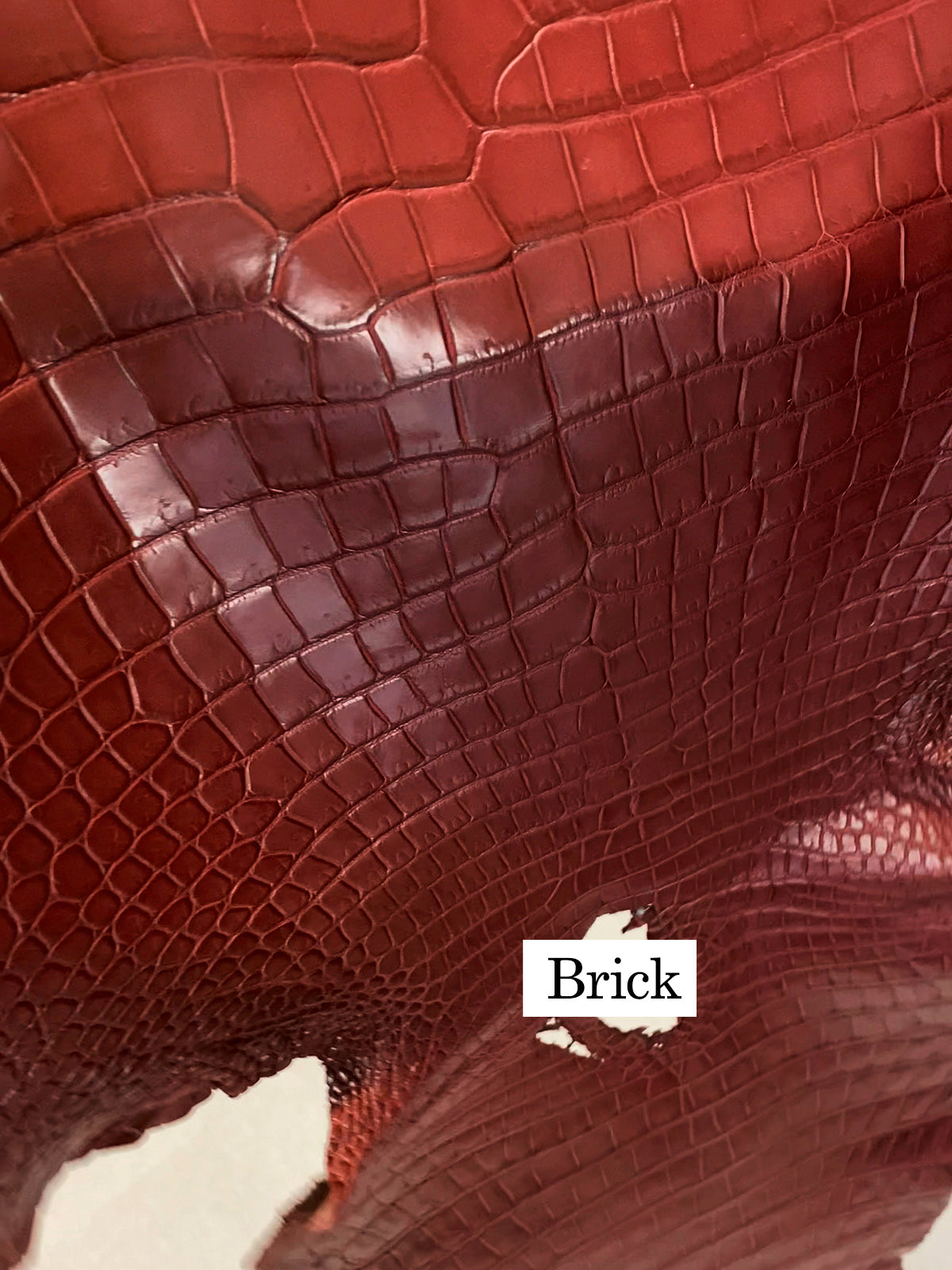 Cookie Shoulder Bag Croco Pearl Grey
