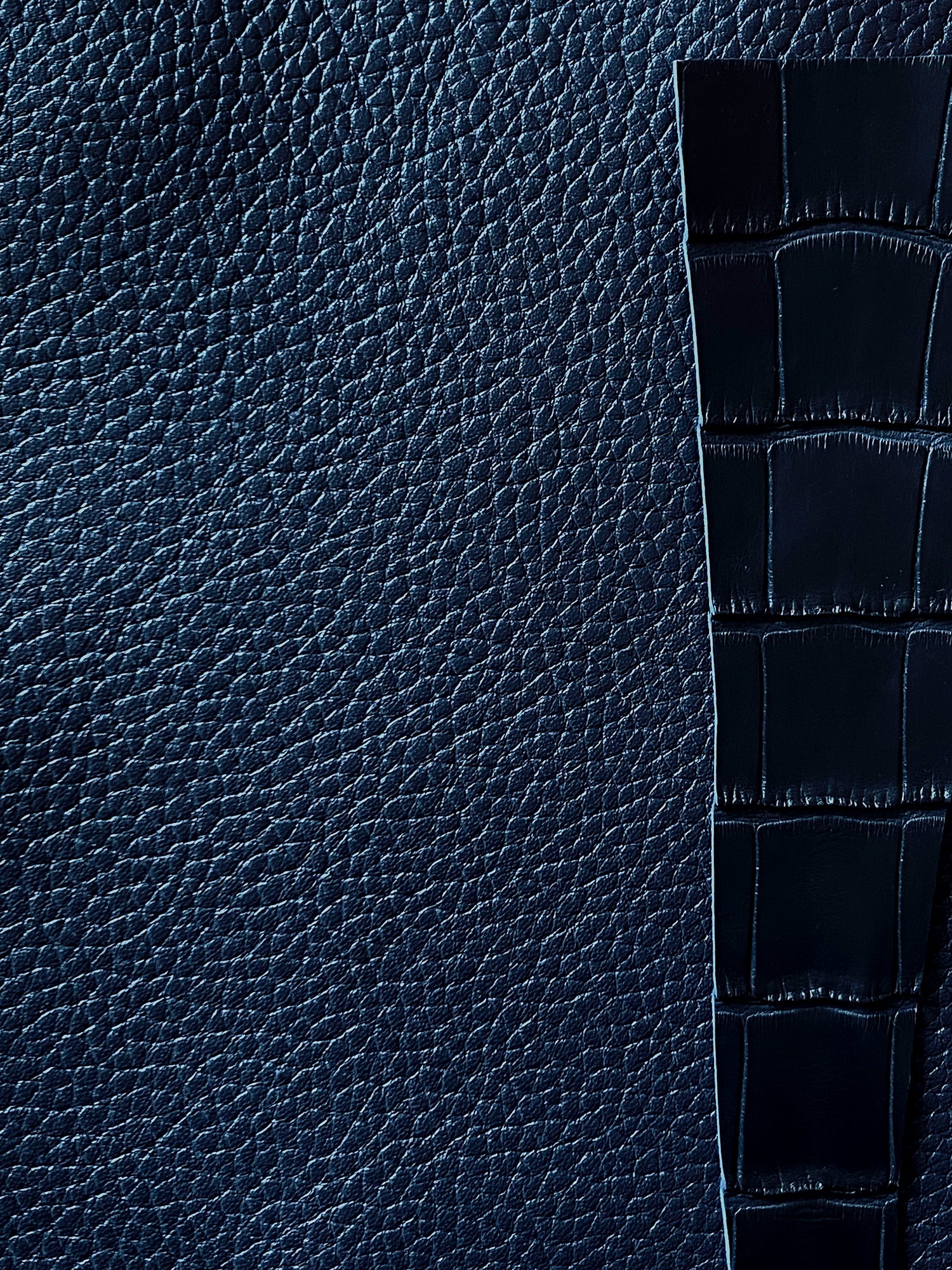 Mingle Bag 38 Taurillon Croco